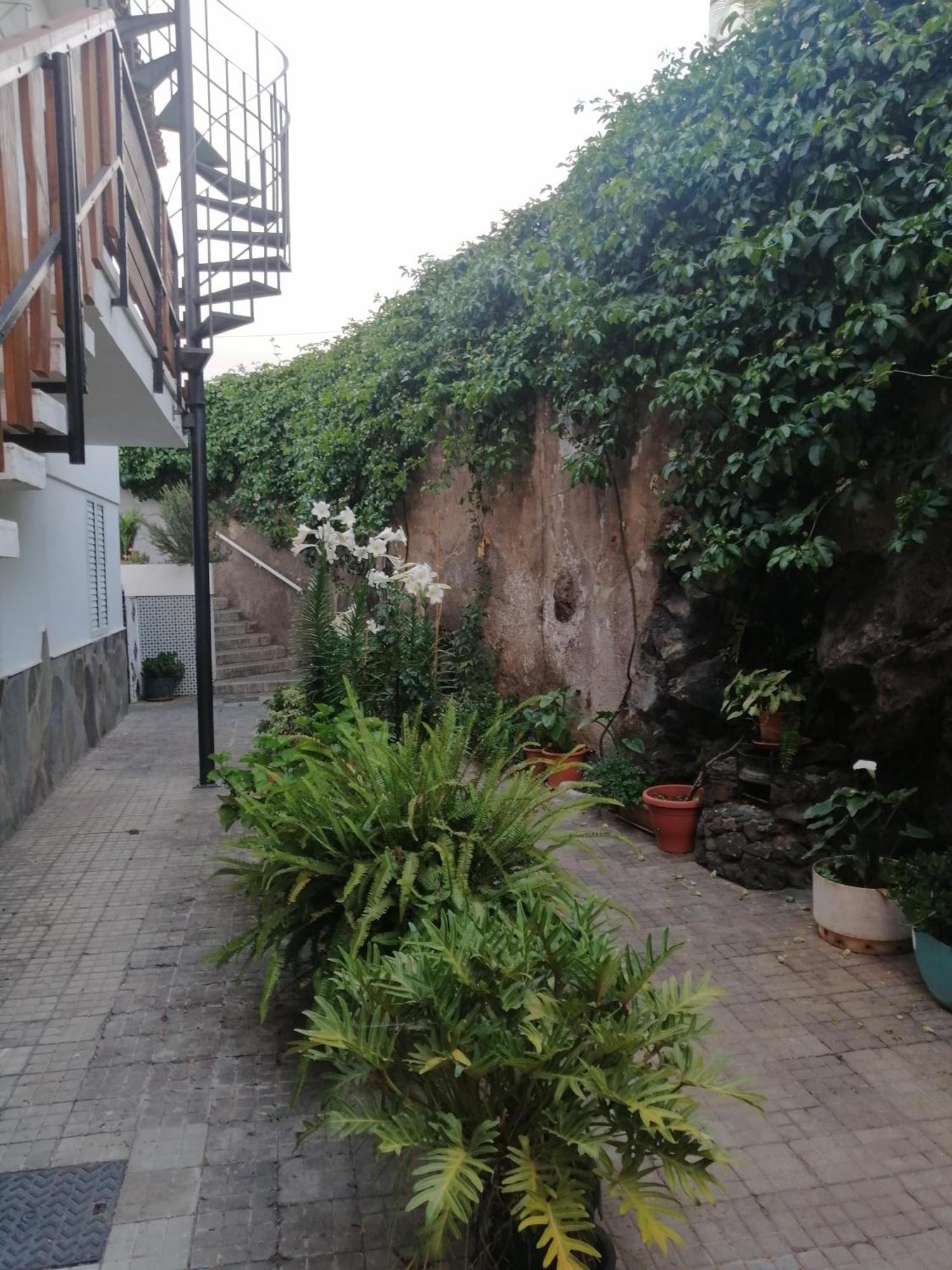 Puerto De La Cruz - Sun House - Holidays - Resort Exterior photo